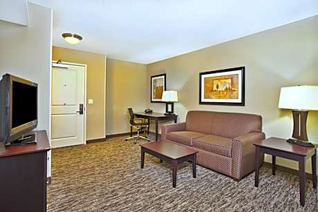 One-Bedroom King Suite