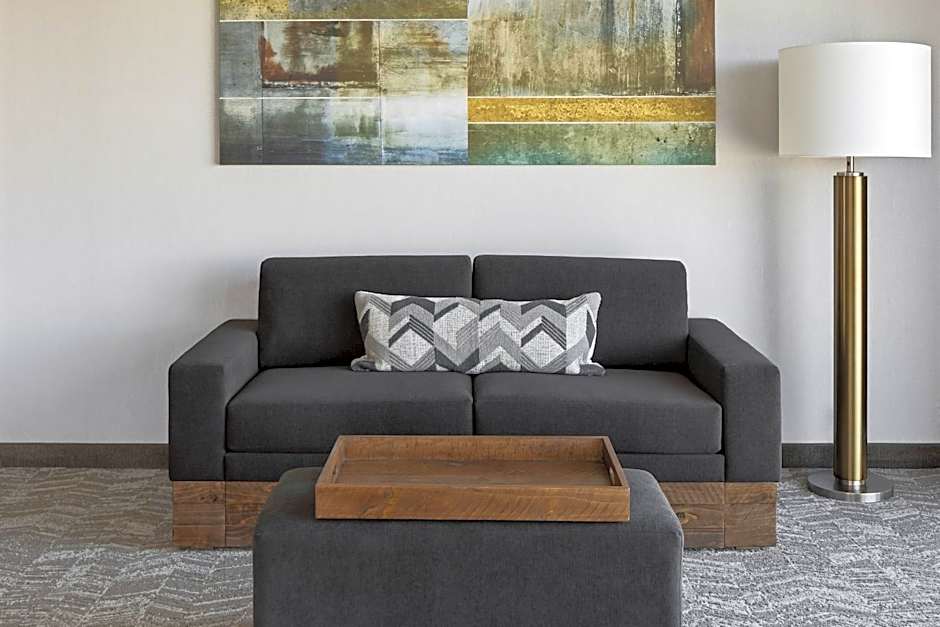 SpringHill Suites by Marriott Greenville Downtown