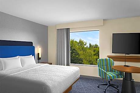 1 King Bed Studio Suite Nonsmoking