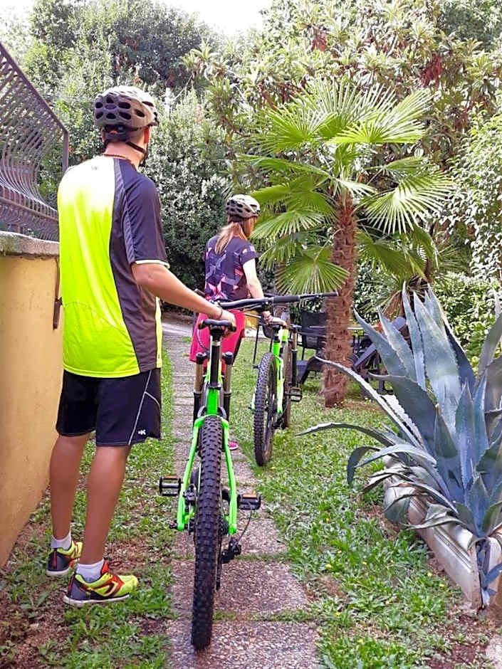 Hotel Delle Ortensie