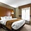 Comfort Suites University