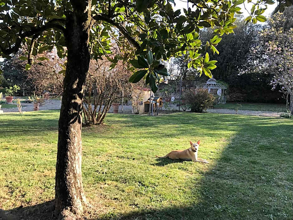 Villa Ape Rosa Relais