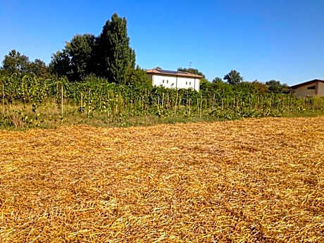 Agriturismo Arcadia