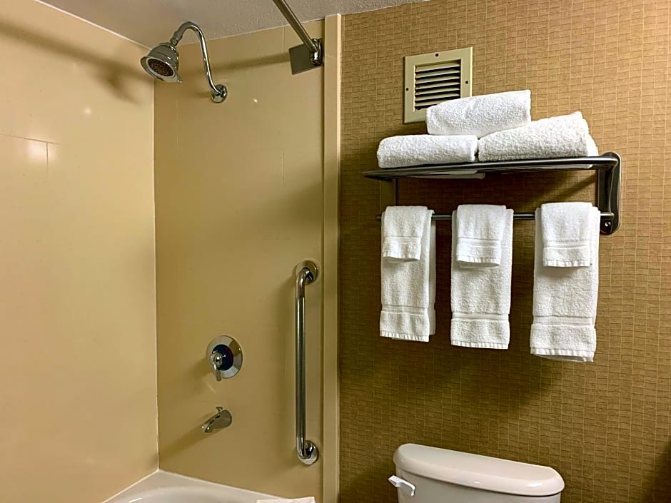 Holiday Inn Johnstown-Downtown, an IHG Hotel