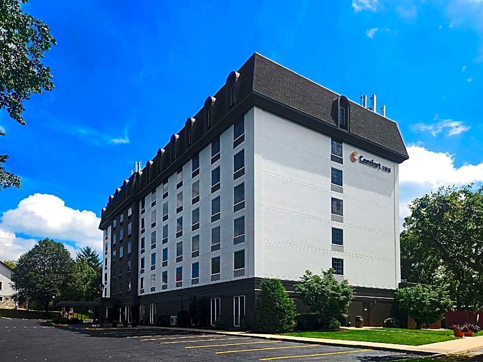 Comfort Inn At The Park