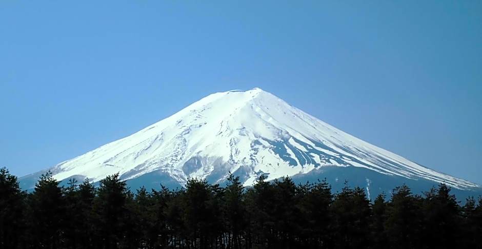 Evergreen-Fuji