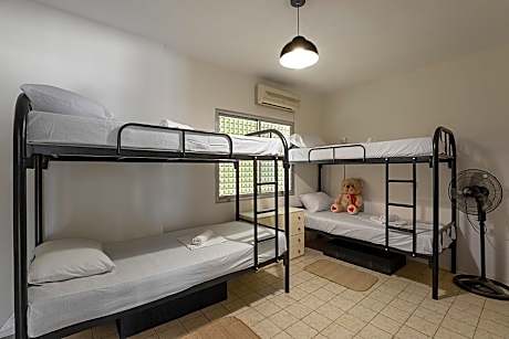 Bunk Bed in Mixed Dormitory Room