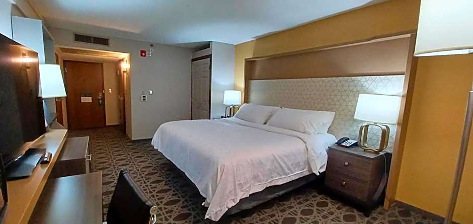 Holiday Inn McAllen Medical Center Area By IHG