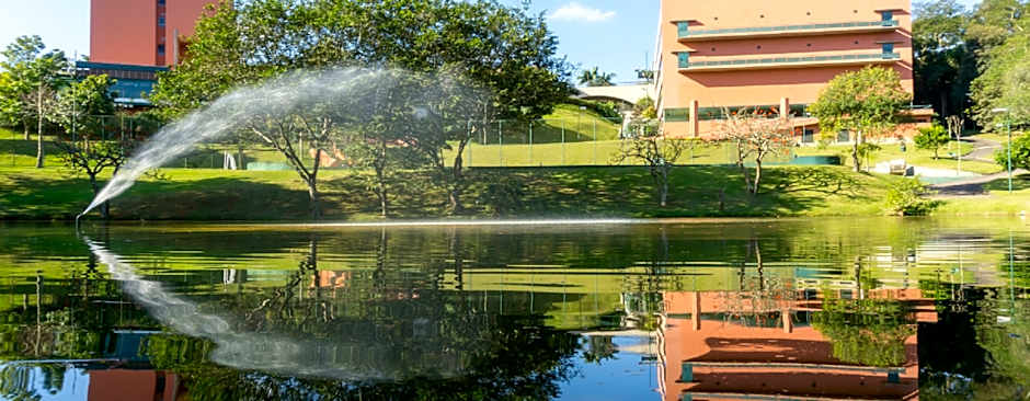 Almenat Embu das Artes Sao Paulo, Tapestry Collect