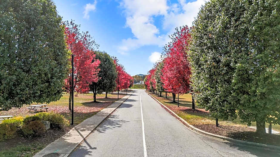 Mountain Inn & Suites Flat Rock