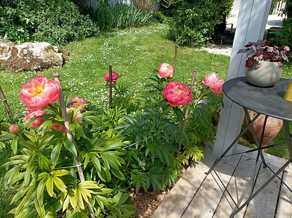 Varzay autour du puits