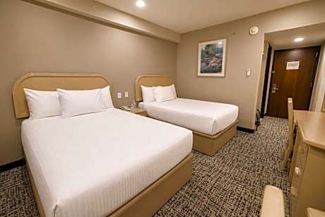 Double Room with 2 Double Beds - Non-Smoking