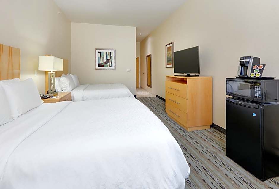 Holiday Inn Express & Suites San Antonio - Brooks City Base By IHG