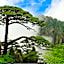 Huangshan Yupinglou Hotel
