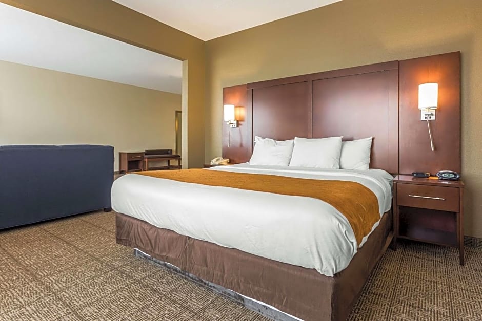 Comfort Suites At the University