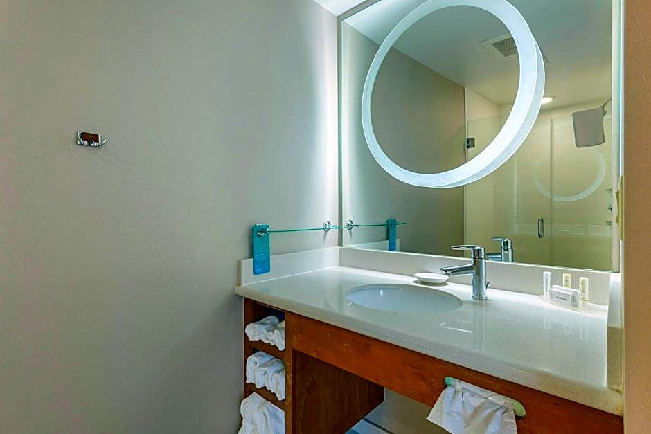 Photo 1 of 9 of 1 King Bed with Trundle Bed Suite, Hearing/Mobility Accessible, Roll in Shower