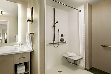 1 King Bed 1 Bedroom City View Suite Nonsmok