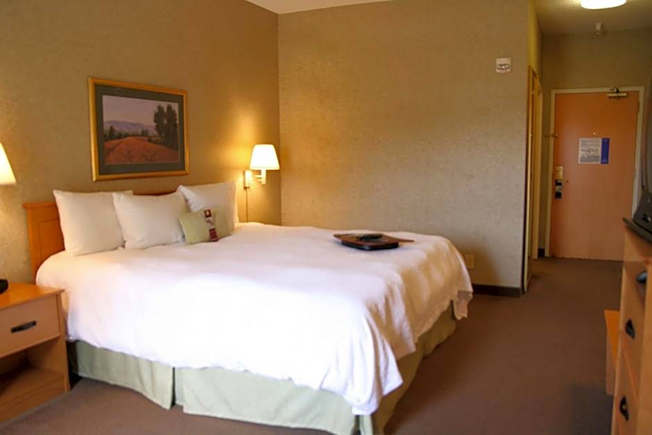 Hampton Inn By Hilton & Suites Kalamazoo-Oshtemo, Mi