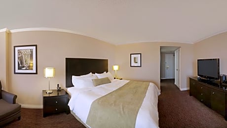 Premier Room, 1 King Bed