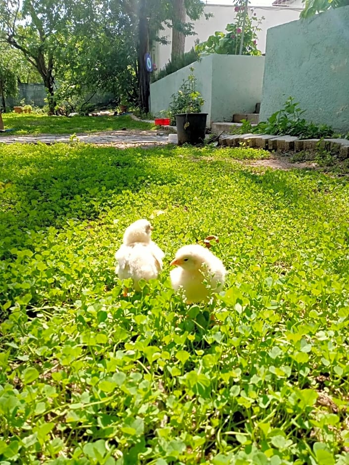 Koca Kapı Konaklama