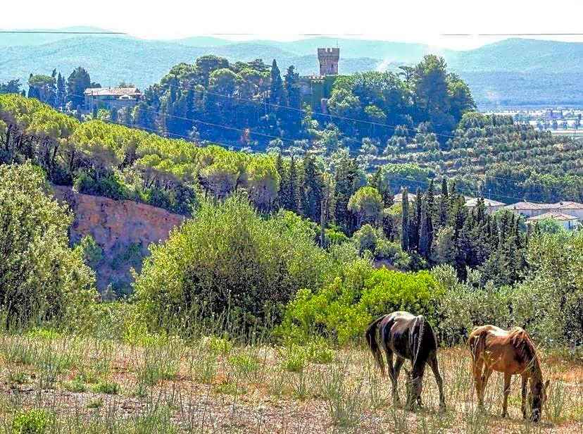 B&B Villa il Poggetto