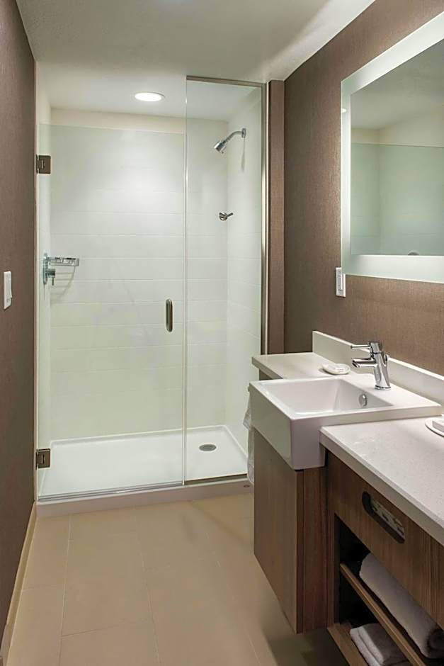 SpringHill Suites by Marriott Tampa Suncoast Parkway