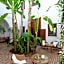 Riad Les Bougainvilliers