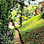 Su Paradise Villa Chalés e Suítes