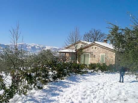 Il Bruco appartamenti in b&b