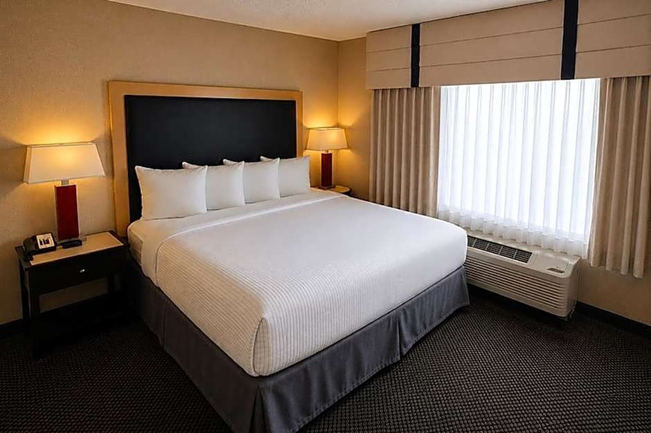 Cambria Hotel Rapid City near Mount Rushmore
