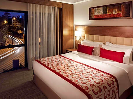 Junior Suite with One Double Bed And Sofa