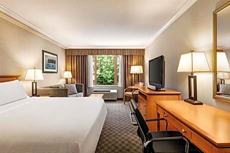 Standard King Room with Mobility Accessible Roll-In Shower