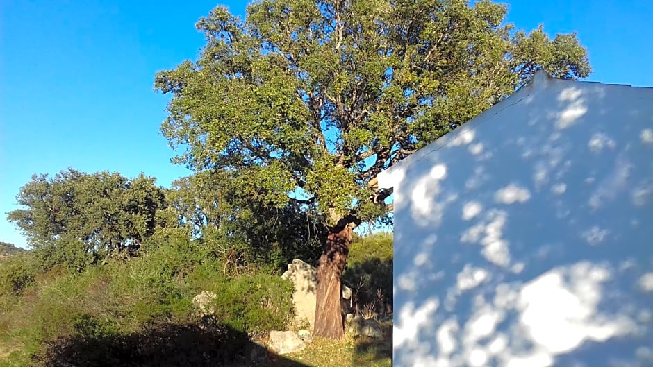 Agriturismo La tanca