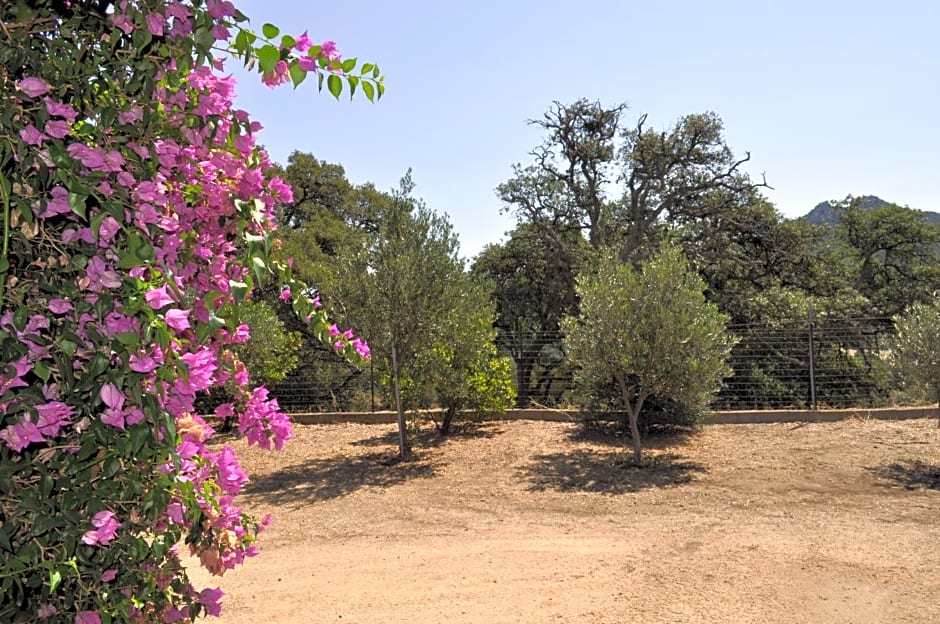 Agriturismo Vaddidulimu