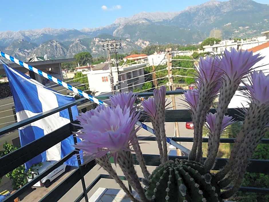 HELLAS PALACE ROOM PRIVATE