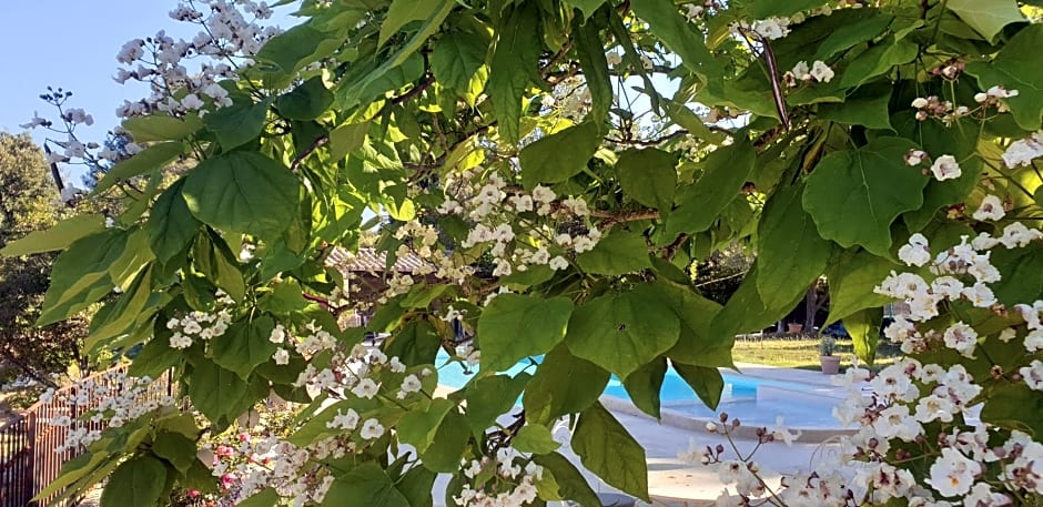 Gîtes Mas des rochers - Romance tropicale avec Spa