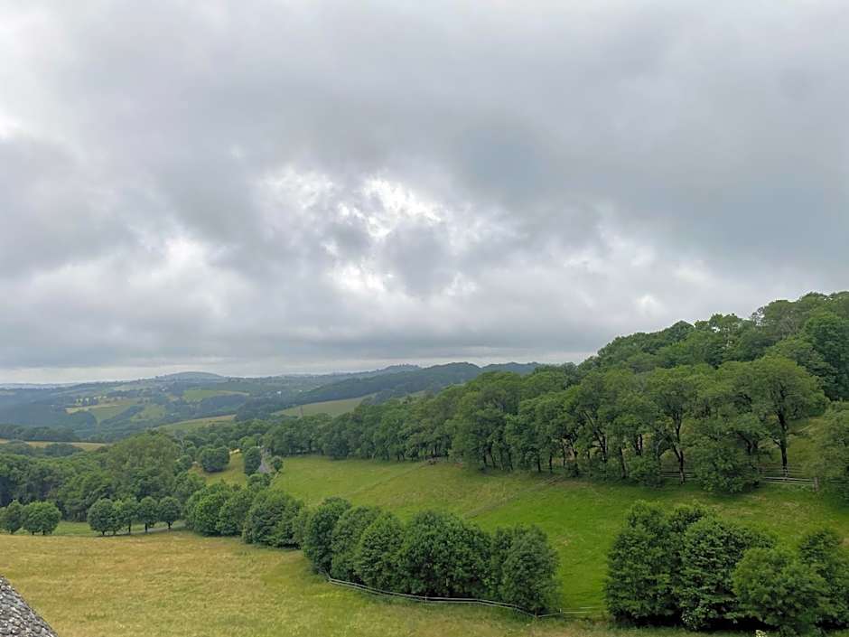 Château du Puech en Aubrac