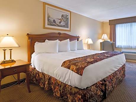 King or Double Room