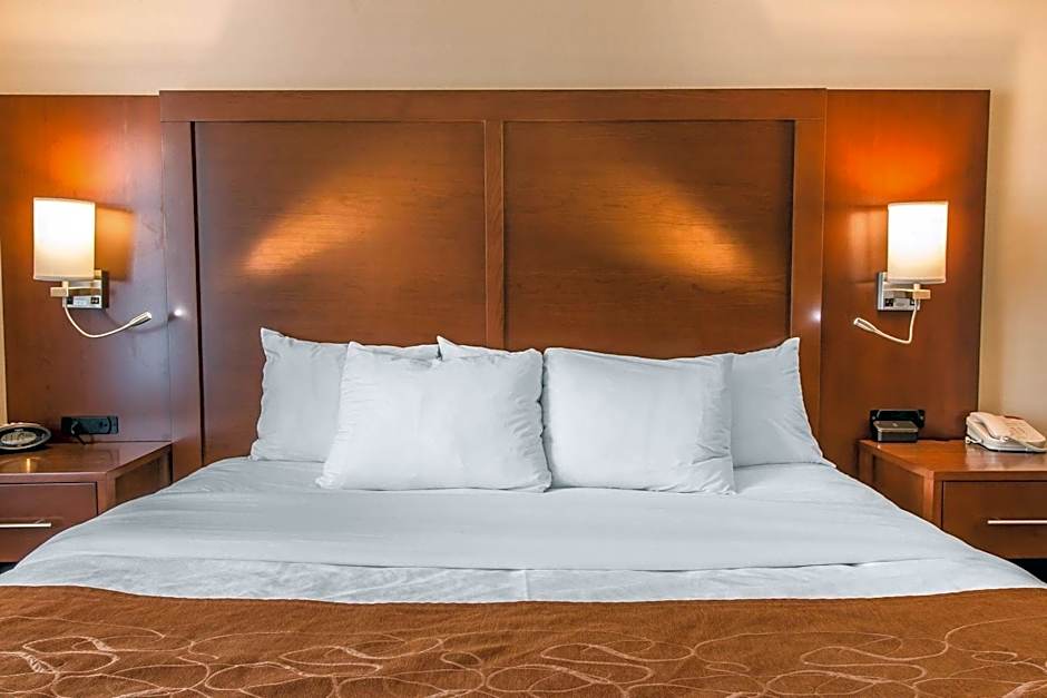 Comfort Suites Wixom - Novi