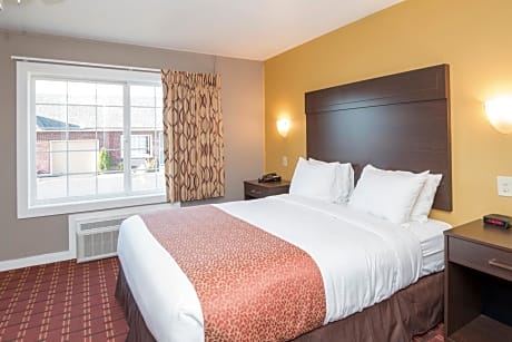 1 Queen Suite