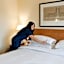 Hilton Knoxville
