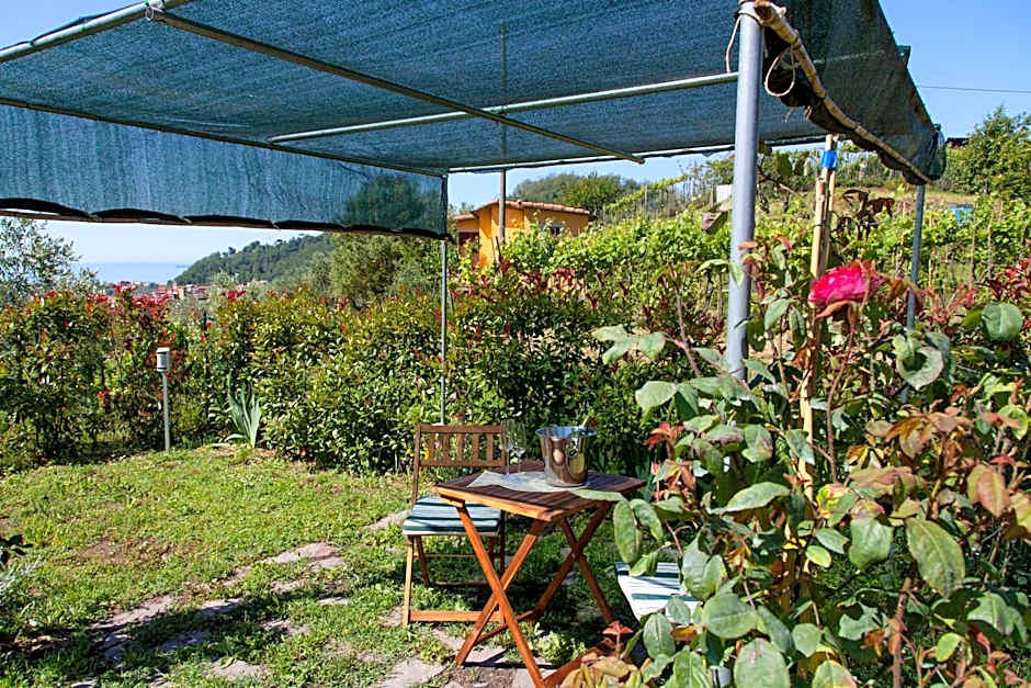 Pietrantica - Affittacamere con giardino NUOVA APERTURA a Trebiano -CITR