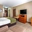 Comfort Inn & Suites Sacramento