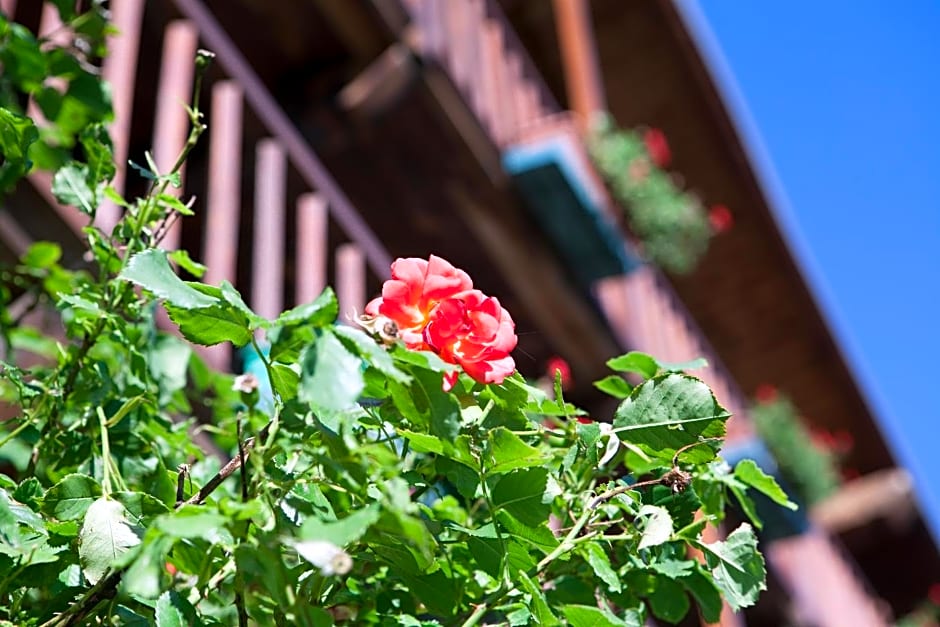 Le Rosier B&B e Appartamento