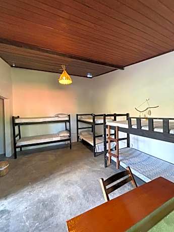 Bed in 6-Bed Dormitory Room