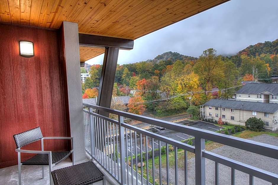 Courtyard by Marriott Gatlinburg Downtown