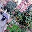VATICAN GREEN GARDEN