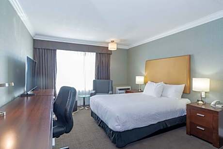 Standard Room, 1 Queen Bed, Kitchenette