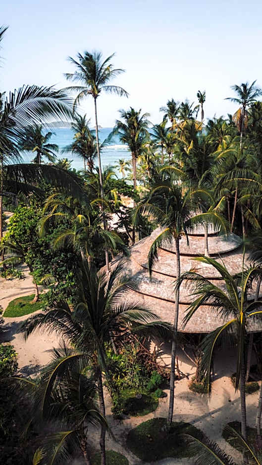 Dryft Darocotan Island