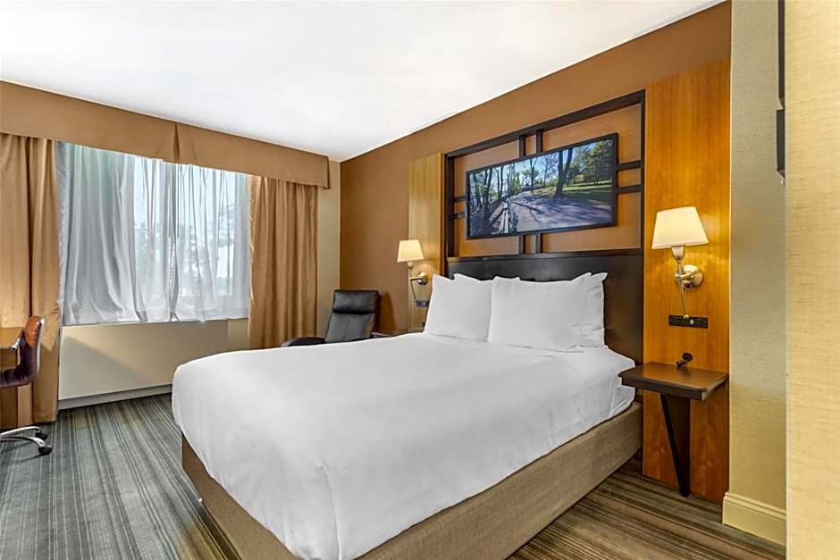 Best Western Queens Gold Coast